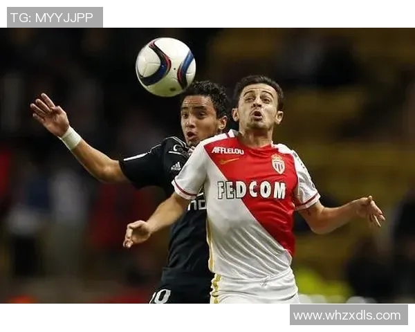 摩纳哥与里昂对决总进球数分析及比赛精彩回顾